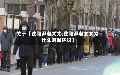 关于【沈阳尹老太太,沈阳尹老太太为什么叫溜达鸡】-第2张图片