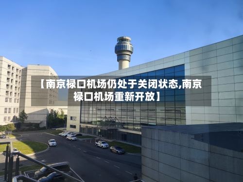 【南京禄口机场仍处于关闭状态,南京禄口机场重新开放】-第2张图片
