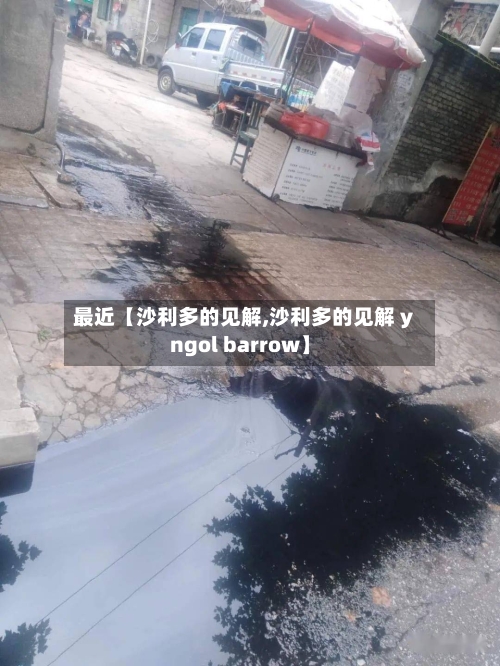 最近【沙利多的见解,沙利多的见解 yngol barrow】-第2张图片