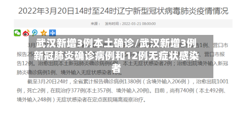 武汉新增3例本土确诊/武汉新增3例新冠肺炎确诊病例和12例无症状感染者