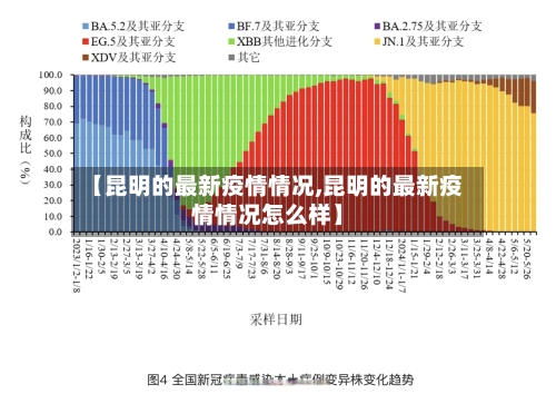 【昆明的最新疫情情况,昆明的最新疫情情况怎么样】