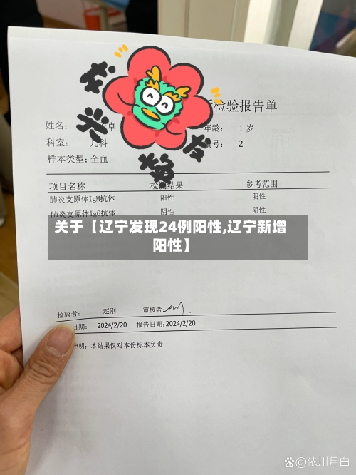 关于【辽宁发现24例阳性,辽宁新增阳性】-第2张图片