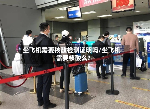 坐飞机需要核酸检测证明吗/坐飞机需要核酸么?-第3张图片