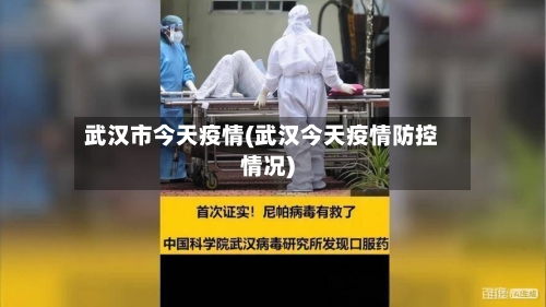 武汉市今天疫情(武汉今天疫情防控情况)-第2张图片