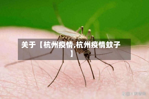 关于【杭州疫情,杭州疫情蚊子】-第2张图片
