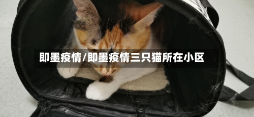 即墨疫情/即墨疫情三只猫所在小区