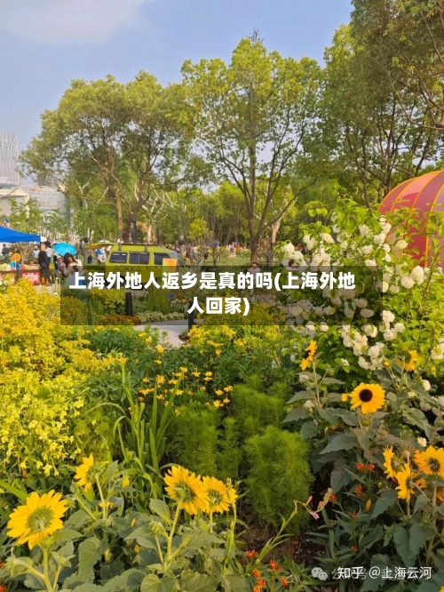 上海外地人返乡是真的吗(上海外地人回家)-第3张图片