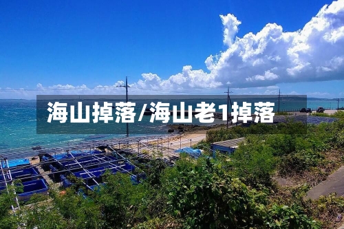 海山掉落/海山老1掉落