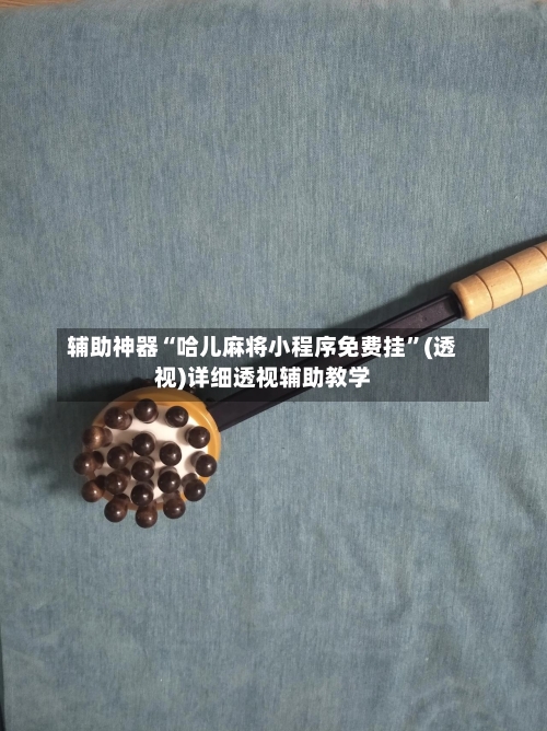 辅助神器“哈儿麻将小程序免费挂”(透视)详细透视辅助教学-第2张图片