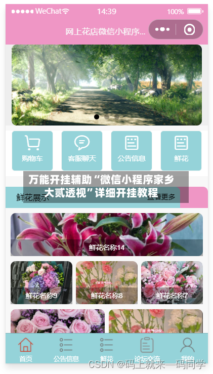 万能开挂辅助“微信小程序家乡大贰透视”详细开挂教程-第3张图片